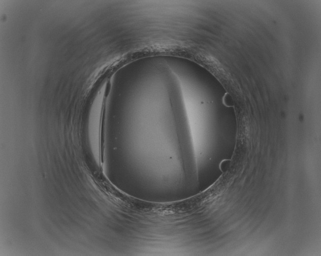 X0000067840640200604271620