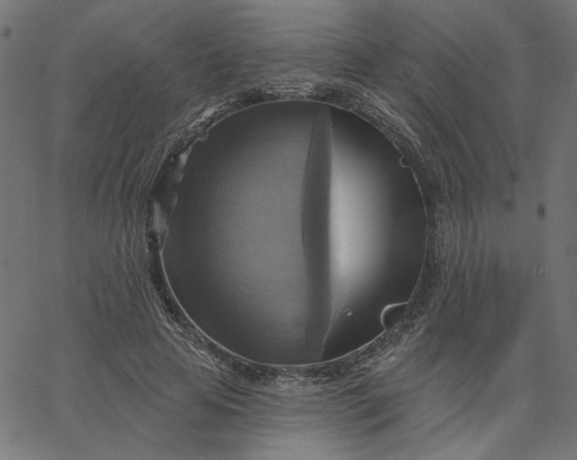 X0000067840641200604271621