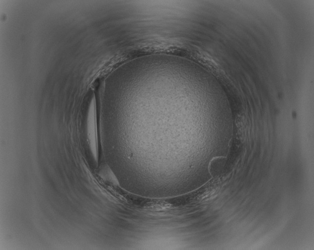 X0000067840642200604271621