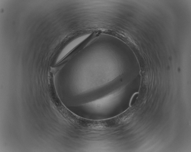 X0000067840643200604271621