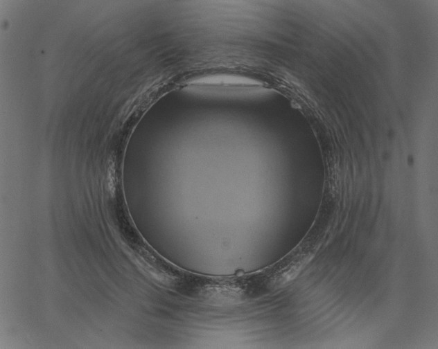 X0000067840644200604271621