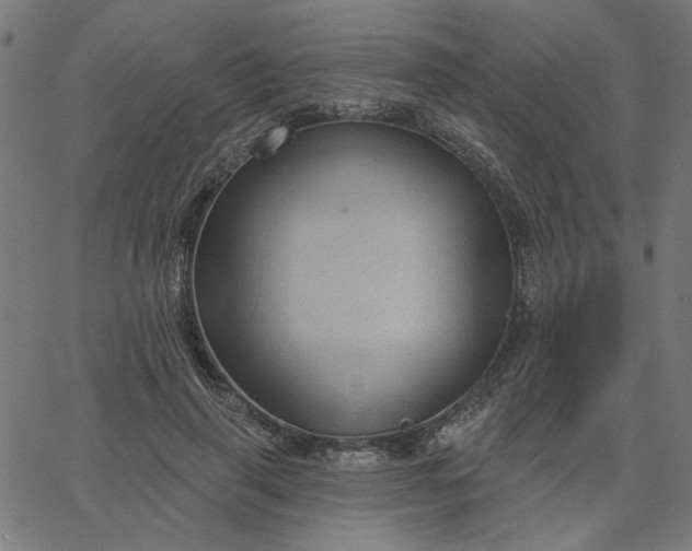 X0000067840645200604271621