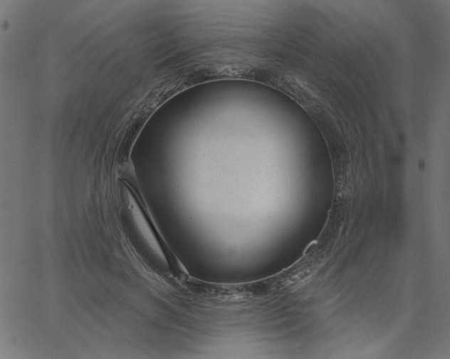 X0000067840646200604271621