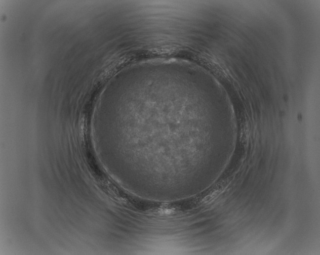 X0000067840647200604271621