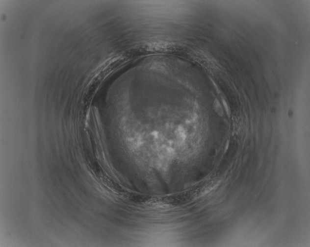 X0000067840648200604271621