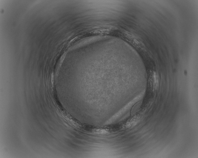 X0000067840649200604271621