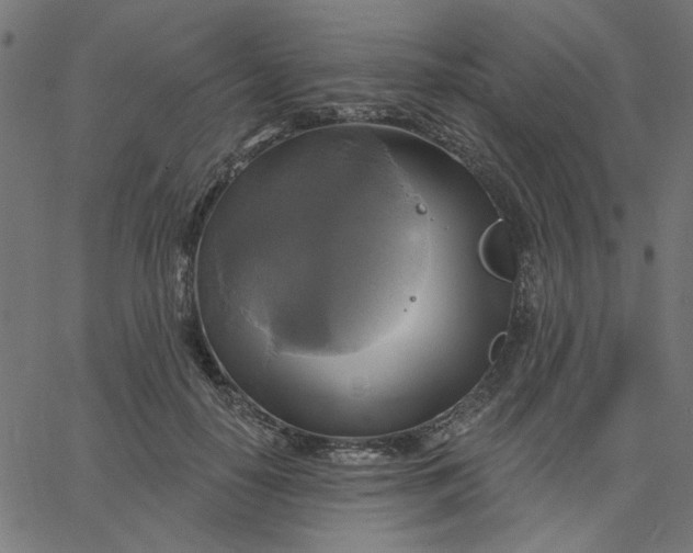 X0000067840650200604271621