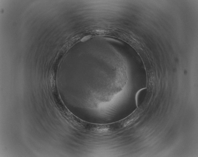 X0000067840651200604271621