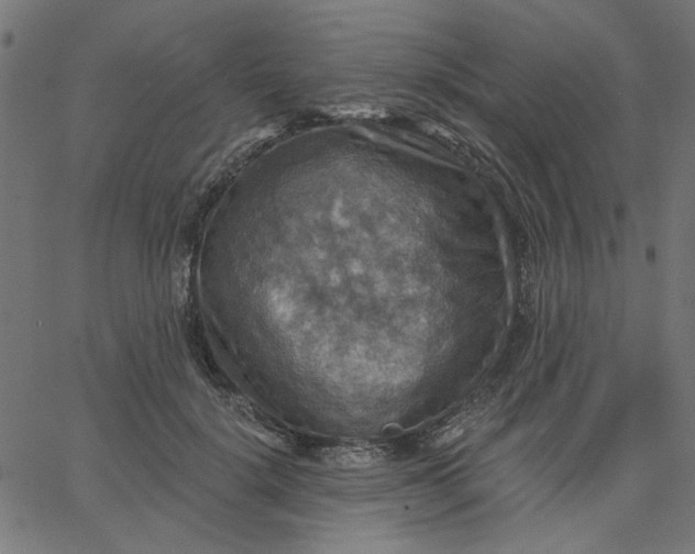 X0000067840652200604271621