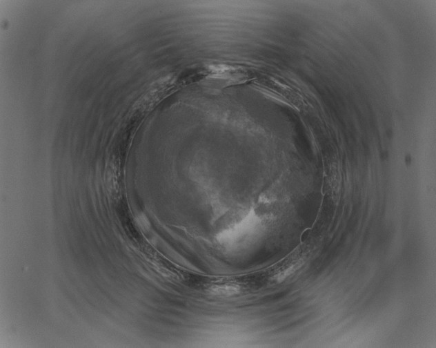 X0000067840653200604271621