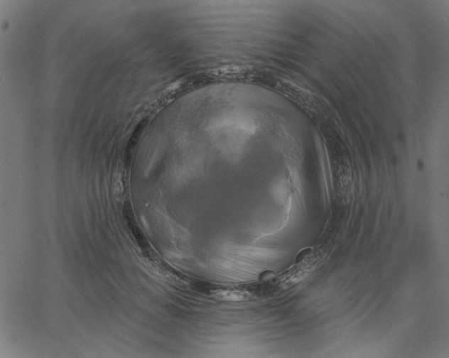 X0000067840654200604271621