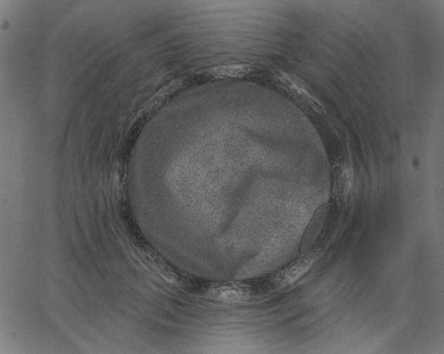 X0000067840655200604271621