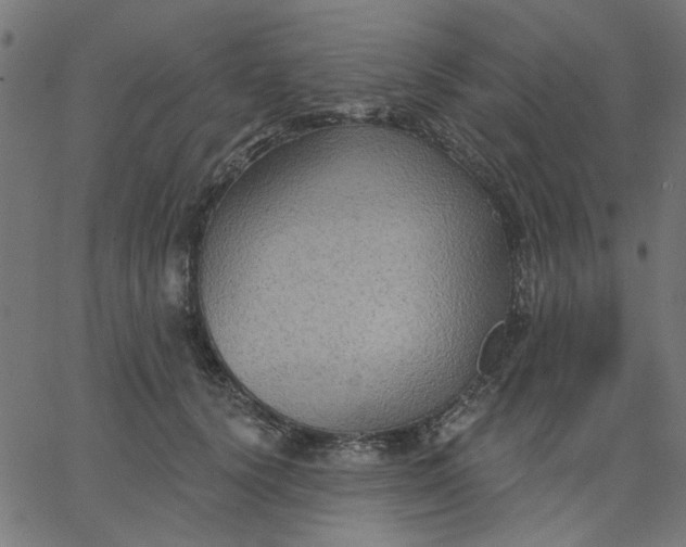 X0000067840656200604271621