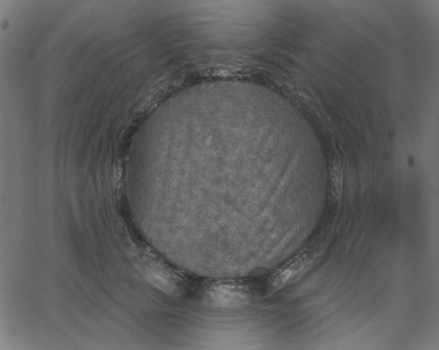 X0000067840657200604271621