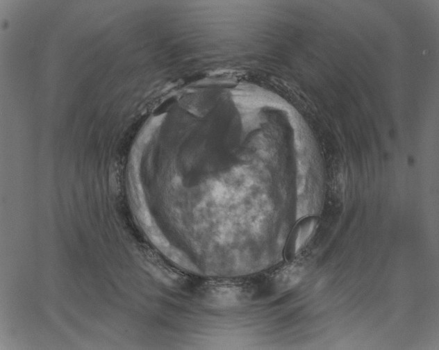 X0000067840658200604271621