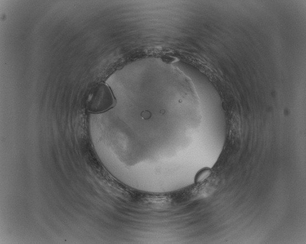 X0000067840659200604271621