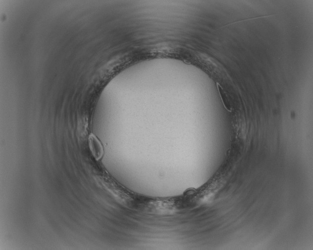 X0000067840660200604271621