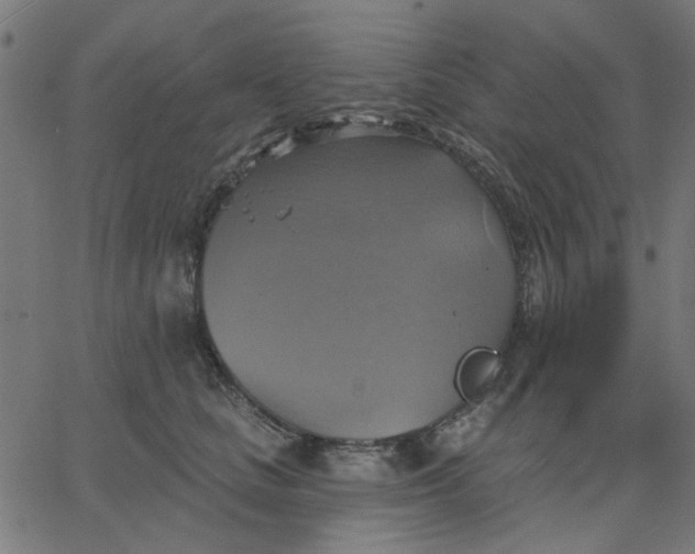 X0000067840661200604271621