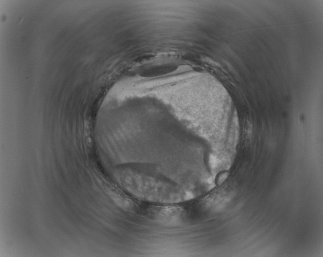 X0000067840663200604271621