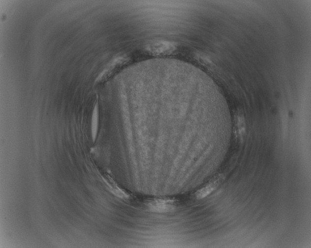 X0000067840664200604271621