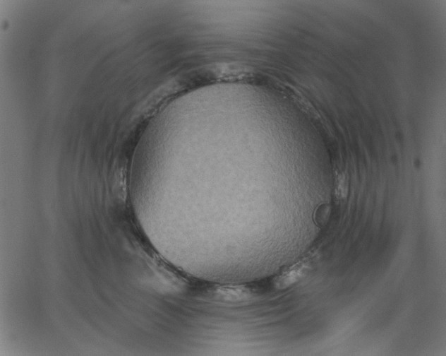 X0000067840666200604271621