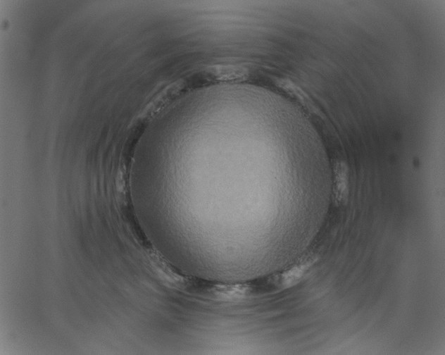 X0000067840667200604271621