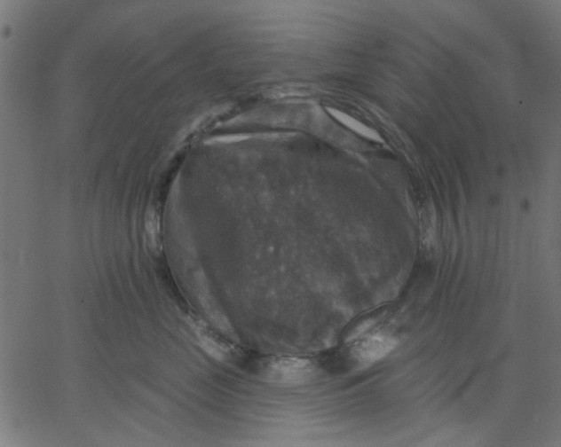 X0000067840669200604271621