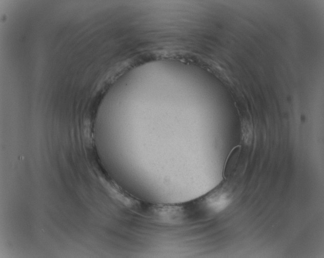 X0000067840670200604271621