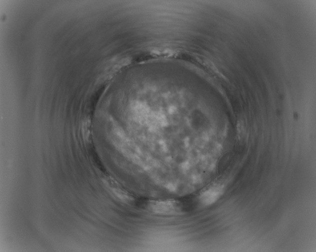 X0000067840671200604271621