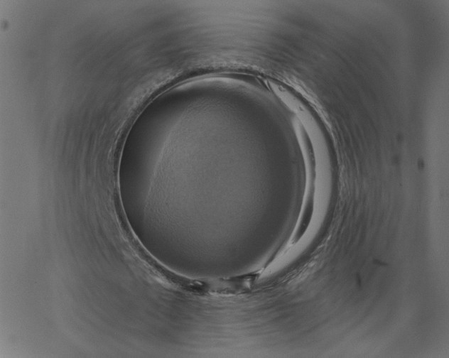 X0000067840673200604271620