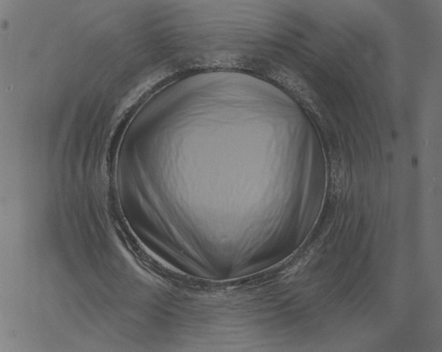 X0000067840674200604271620