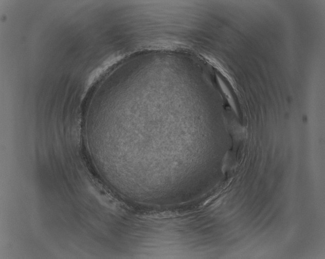 X0000067840675200604271620