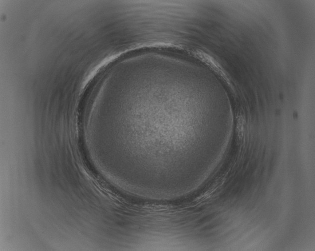 X0000067840676200604271620