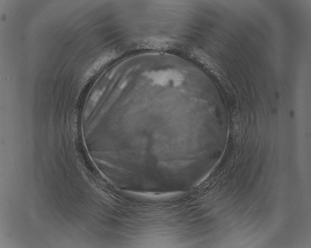 X0000067840679200604271620