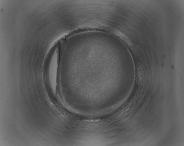 X0000067840680200604271620