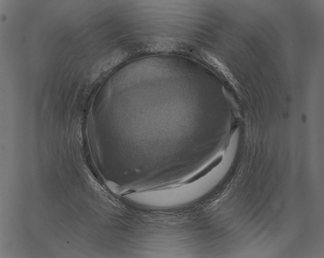 X0000067840681200604271620