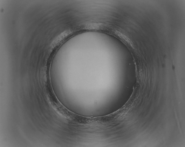 X0000067840682200604271620