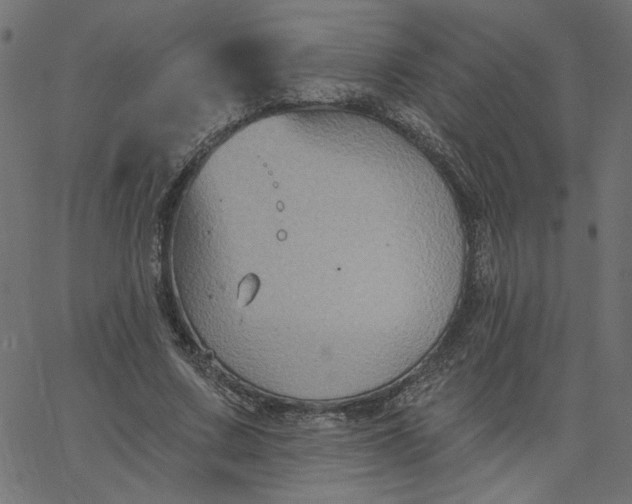 X0000067840683200604271620