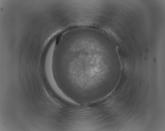 X0000067840684200604271620