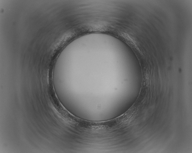 X0000067840686200604271620