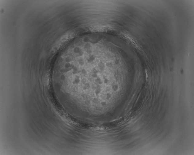 X0000067840687200604271620