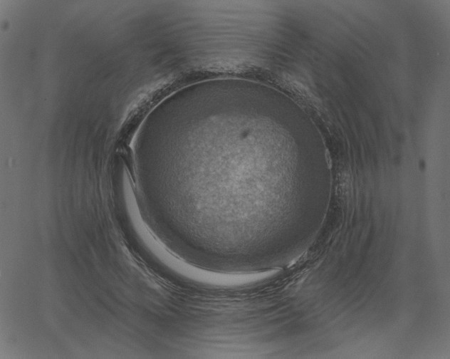 X0000067840688200604271620