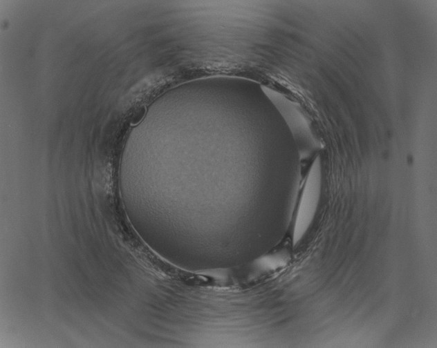 X0000067840689200604271620