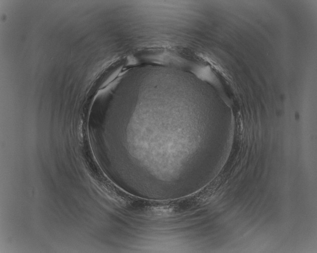 X0000067840692200604271620