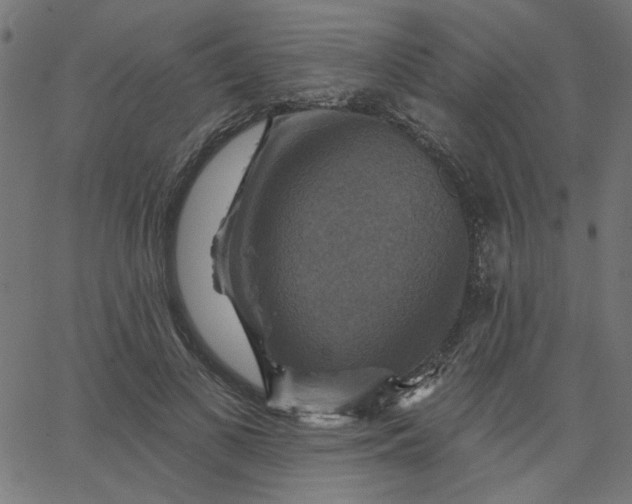 X0000067840693200604271620