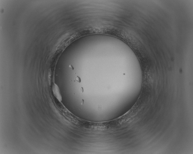 X0000067840694200604271620