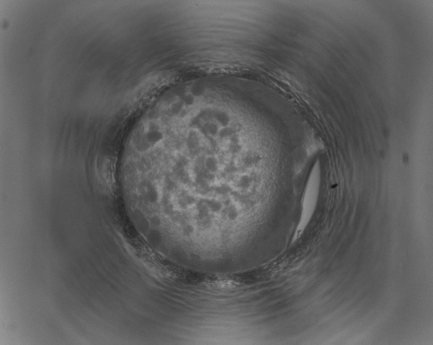 X0000067840695200604271620