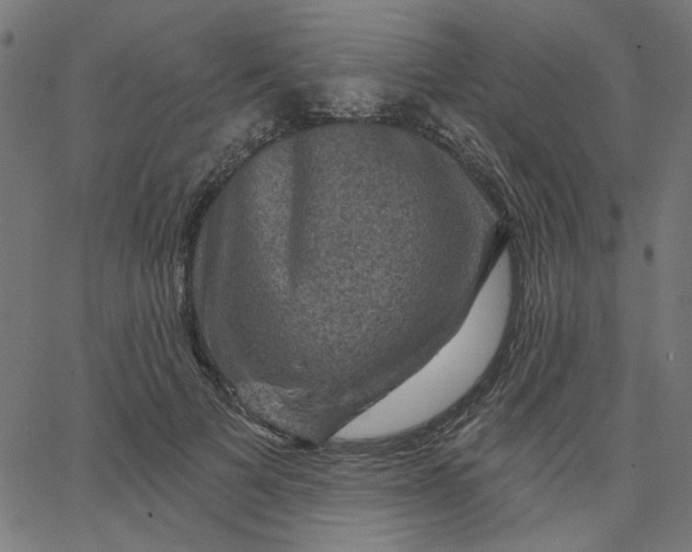 X0000067840697200604271620