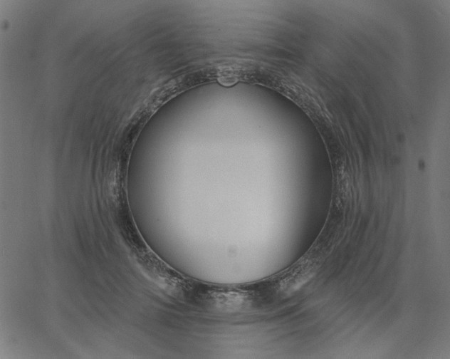 X0000067840698200604271620