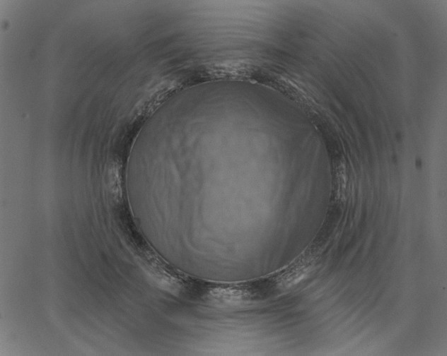 X0000067840699200604271620